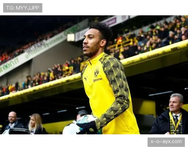 多特蒙德最新引援消息与转会动态 多特蒙德最新引援消息与转会动态